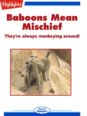 cover image of Baboons Mean Mischief